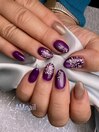定額NO.493色変え