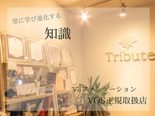 トリビュート(Tribute)の雰囲気（人気のV3ファンデーションをはじめVOSホームケア正規取扱店です）