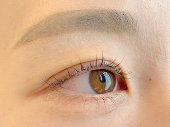 リッシュ(RICHE)/アイブロウ×上下まつ毛パーマ