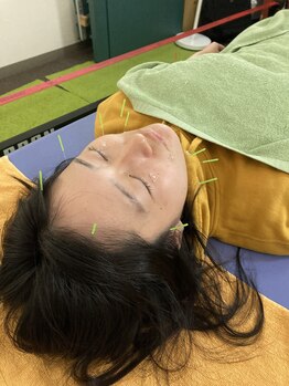 ふくろうの樹治療室/