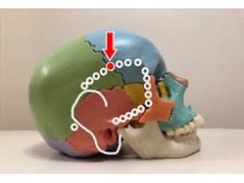整体院 翔/頭蓋骨の反射区