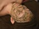 ピンナ(PINNA)の写真/【肌質改善】透明感・つるんとツヤ肌に導く素肌作り◎天然ハーブと酵素の力で古い角質をやさしくケア♪