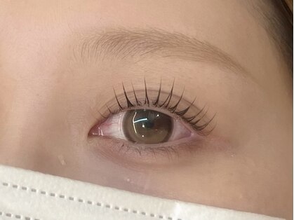 ピピ(pipi)の写真