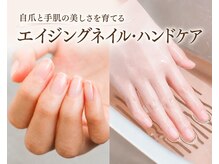 ネイルサロンアンドスクール シーグリーン(SEAGREEN)