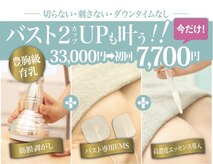 美人バスト 本厚木店