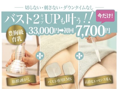 美人バスト 本厚木店の写真