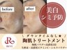 【美白・シミ予防】 REVIハーブピーリング+贅沢オプション3種
