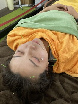 ふくろうの樹治療室/