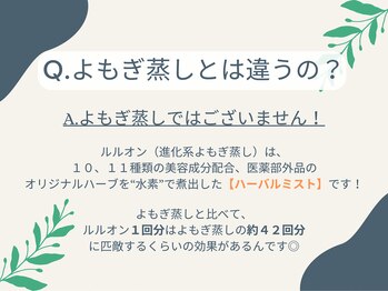 ヨサパーク ナル(YOSA PARK Nalu)/よくある質問☆よもぎ蒸しと違い