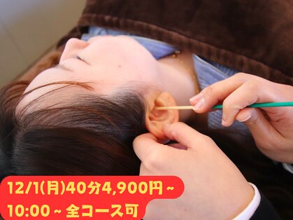 みみもふの写真