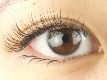 アイラッシュ ビーワークス(b-works)/上140本&下40本