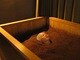 酵素浴5 ささしまライブ店の写真/米ぬか酵素風呂で大量発汗＆温活★オールハンド小顔マッサージが驚きの500円！ぜひご体感ください♪