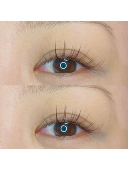 アルピナ アイラッシュ(alpina eyelash)/all☆cカール