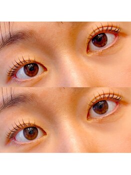 ルミエール(Lumiere)/まつげパーマ