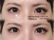 ソファー 八王子(sofa)/LEDフラットラッシュ 【八王子】