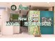 ミヤビナチュラルセラピー 港北TOKYU S.C.(MiYaBi Natural Therapy)の写真/【5/1NEWOPEN】オーストラリア発☆男性にも人気のしっかりほぐすオイルマッサージ♪