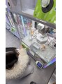 トゥインクミル 表参道(Twinkmiru) かわいい物集めるのが好きでUFOキャッチー、ガチャ集めてます♪