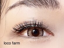 ロコ ファーム(loco farm)/Wフラットラッシュ100束