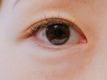 オレンジスター バイ パッセージ(ORANGE STAR BY PASSAGE)/ブラウンMIX[相模大野]