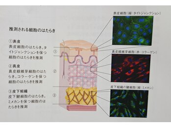 ポーラエステサロン ラ メール営業所/表情を動かしての肌分析