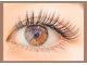 ネイルアンドアイラッシュ ジェムール 川越店(Nail&Eyelash GEMULE)の写真