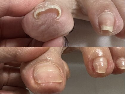 シーフロウ(C-FLW)の写真