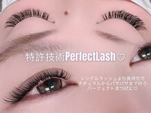 特許技術パーフェクトラッシュ