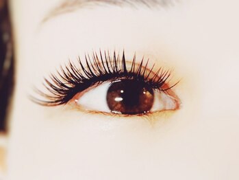 メイプル(MAPLE)/ボリュームラッシュ700本