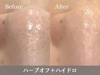 トウメイコガオ 横浜店/トウメイコガオでハーブ