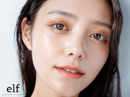 エルフ(elf)の写真