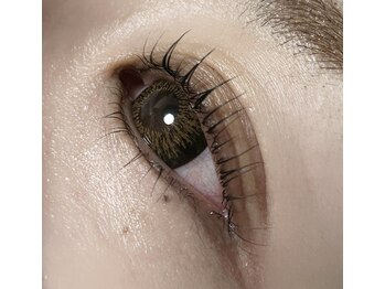 まつ毛日和/まつ毛パーマ(上下)