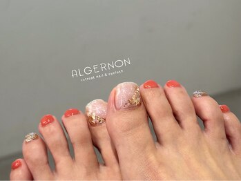アルジャーノン リトリート(ALGERNON retreat)/シェルデザイン