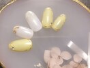 春夏デザイン