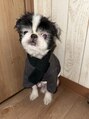 アロ バイ コア(alo by Koa) 犬二匹飼ってます!犬好きさん仲良くしてください♪