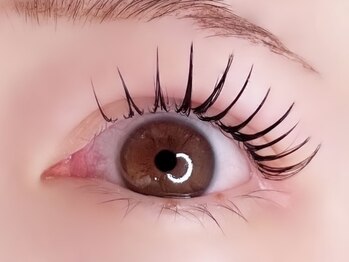 モモ 京橋(momo)/フラットラッシュ