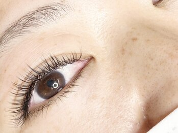 ウルカ アイラッシュ(uruka EYELASH)/フラットラッシュ 160本