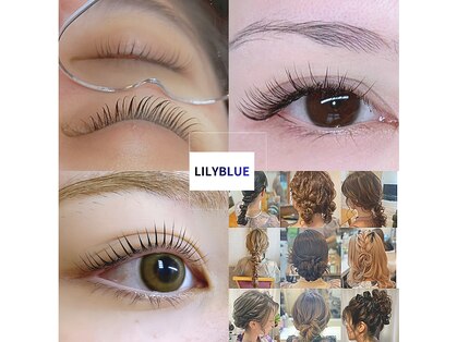 リリーブルー(Lily Blue)の写真