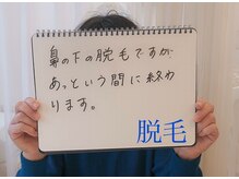 シフォン(Chiffon)/お客様の声