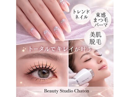 シャトン(Chaton)の写真