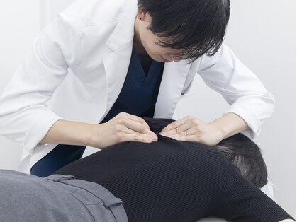ヒラメント 亀戸院(Hilament)の写真