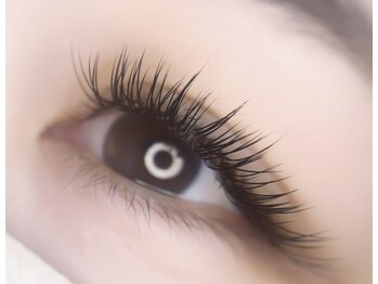 美曜日/フラットラッシュ付け放題