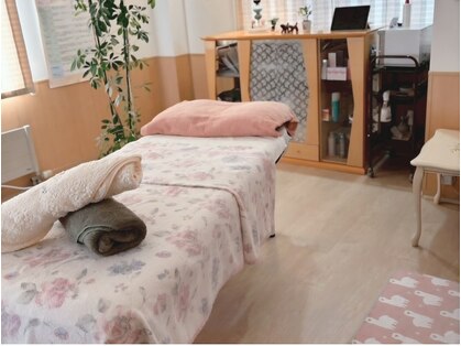 アリア(Aria)の写真