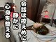 ソウノ 御茶ノ水(Souno)の写真