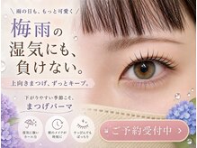 マドンナリリー(Madonna Lily)