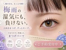マドンナリリー(Madonna Lily)