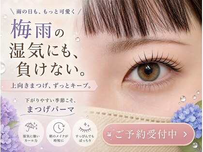 マドンナリリー(Madonna Lily)の写真