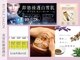 ルチル美容鍼灸の写真/美容医療提携店★からだとお肌の土台からポテンシャルを上げる、そんな豊富なメニューを取り揃えています