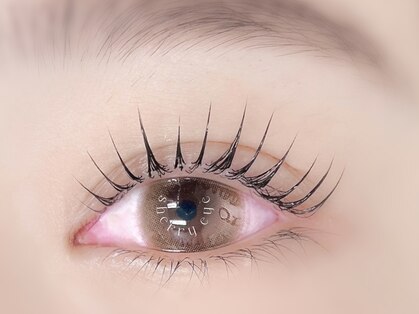 シェリーアイ(Sherry Eye)の写真