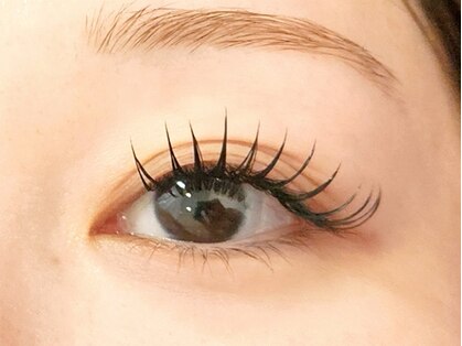 アイラッシュマルヴァ(Eye Lash Malva)の写真