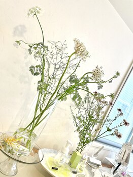 リアン ラッシュリフト(Lien LASHLIFT)/